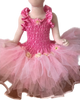 Aurora Fairy Dress